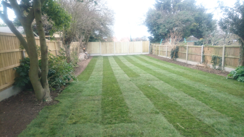 Artificial Lawn - Project