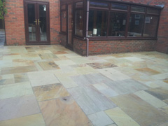 Image of Mint Fossil Indian Sandstone